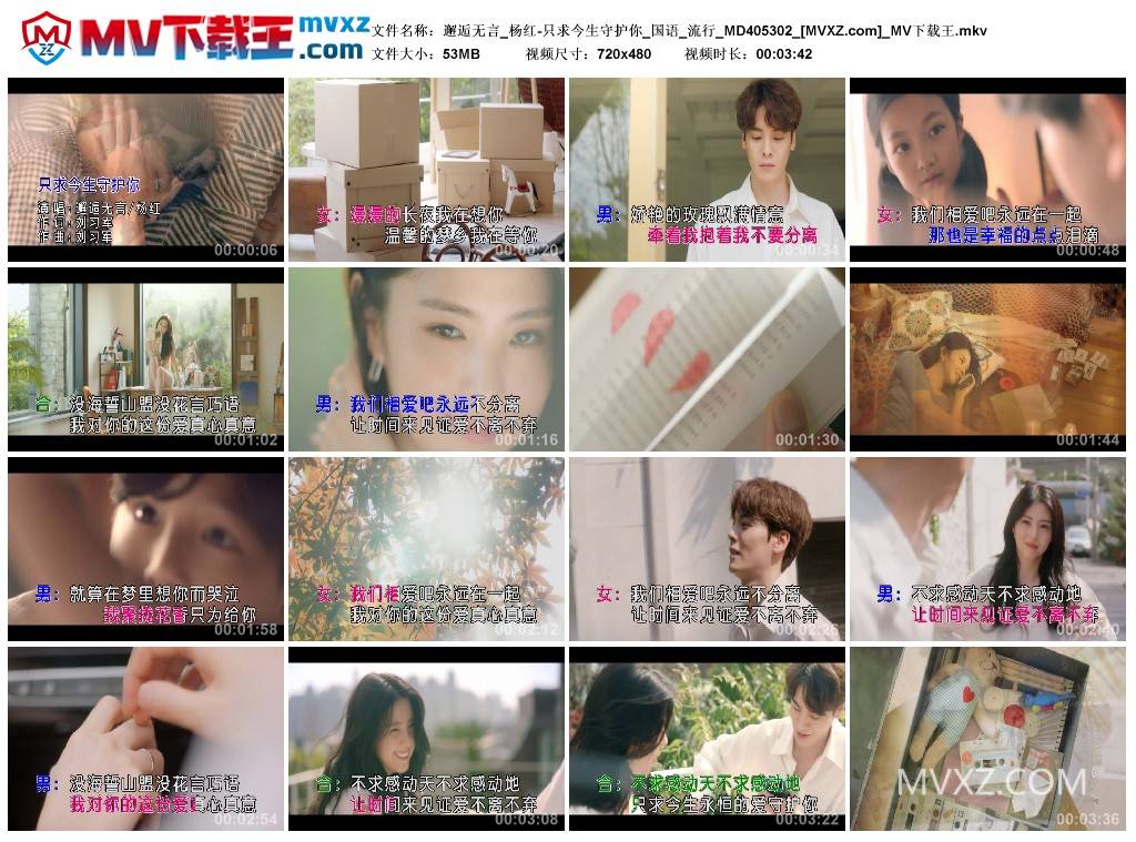 邂逅无言_杨红-只求今生守护你_国语_流行_MD405302